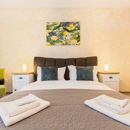 Apartament Topaz Брашов Экстерьер фото
